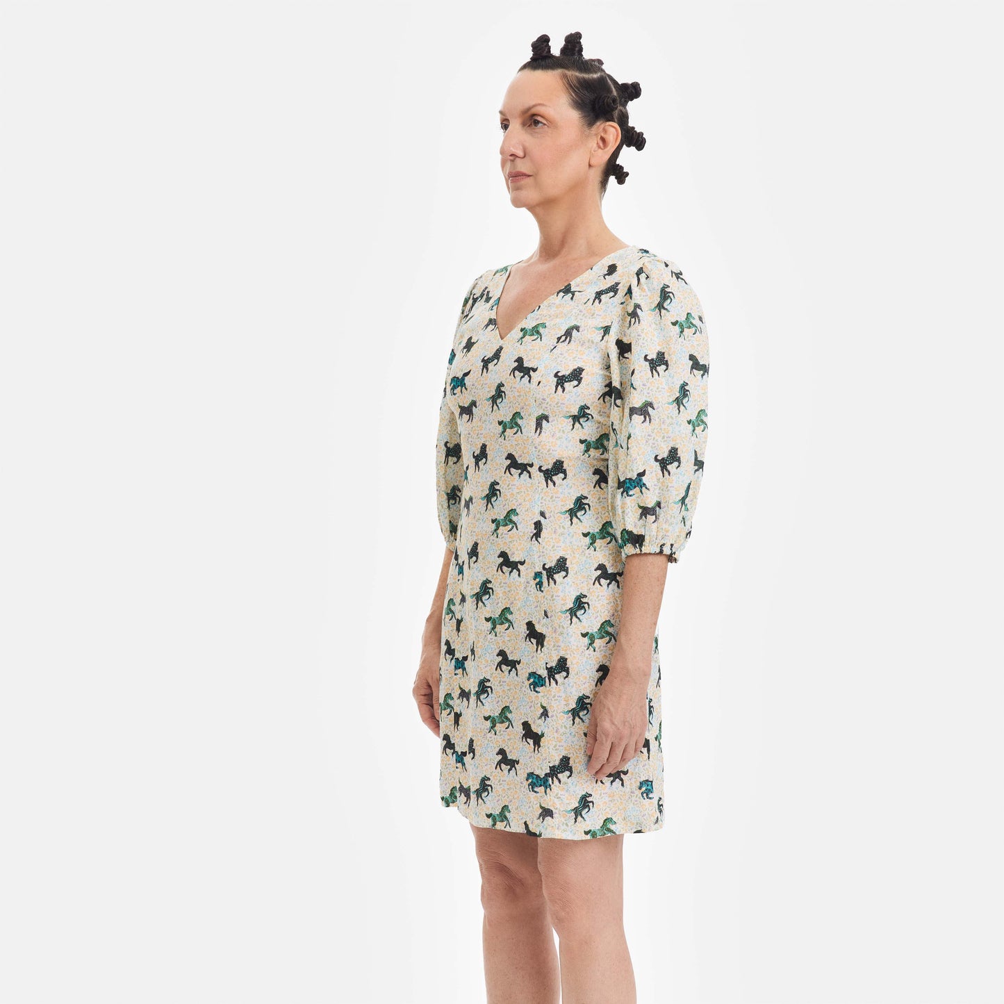 Linen Horse Dress